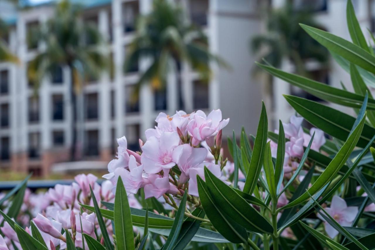 Great Bay Condominiums Located At The Ritz-Carlton Club, St Thomas Nazareth Luaran gambar